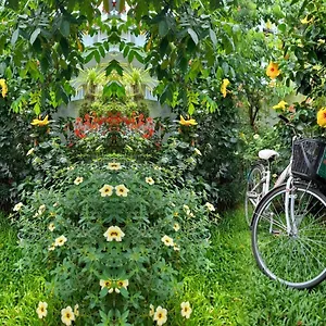 Star Garden Homestay